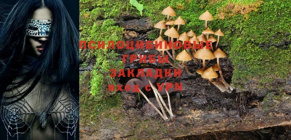 стафф Аркадак