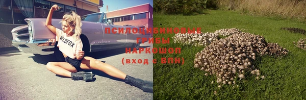 ПСИЛОЦИБИНОВЫЕ ГРИБЫ Арсеньев