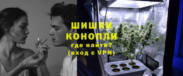 ПСИЛОЦИБИНОВЫЕ ГРИБЫ Арсеньев
