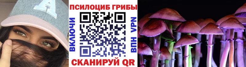 Псилоцибиновые грибы Psilocybe  Дорогобуж 